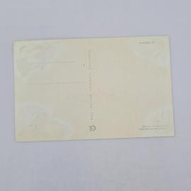 Картинка 2