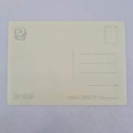 Картинка 2