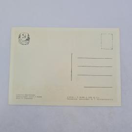 Картинка 2