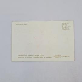 Картинка 2