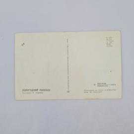 Картинка 2