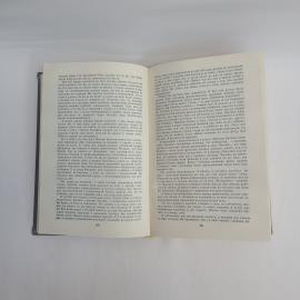 Картинка 3