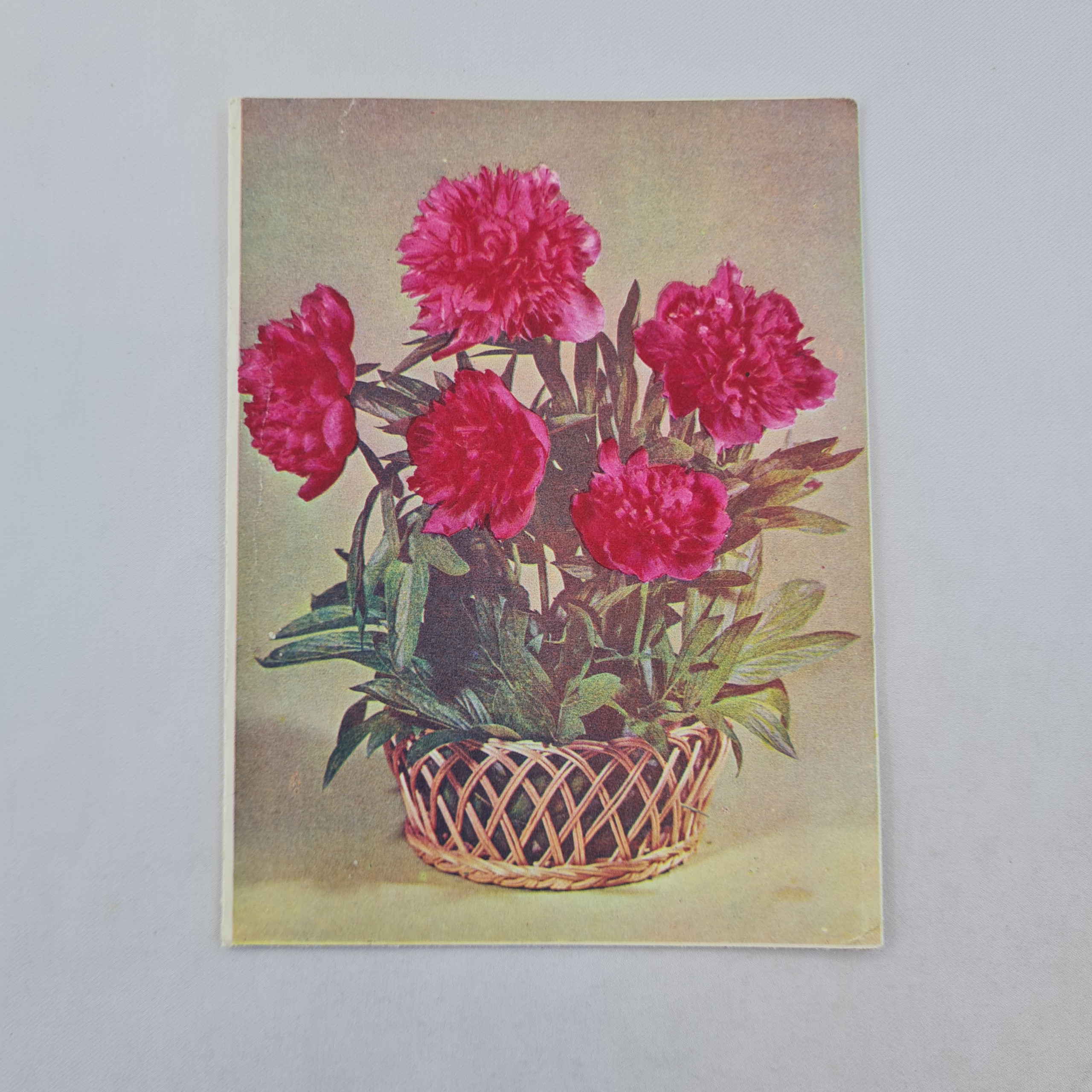 Картинка 1