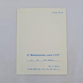 Картинка 2