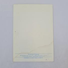 Картинка 2