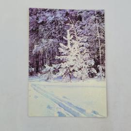 Открытка советская СССР. Зима, заснеженный лес, ель и лыжня, природа. Винтажная полиграфия