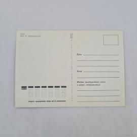 Картинка 2