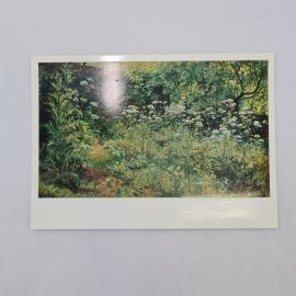 Открытка советская СССР. Шишкин Сныть трава Парголово, лесной пейзаж, Русский музей. Винтаж