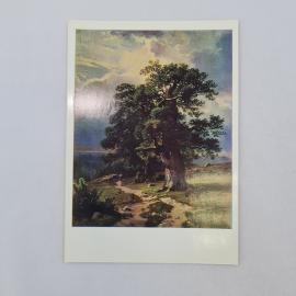 Открытка советская СССР. Шишкин дубы, пейзаж Русский музей. Винтаж, художественная серия