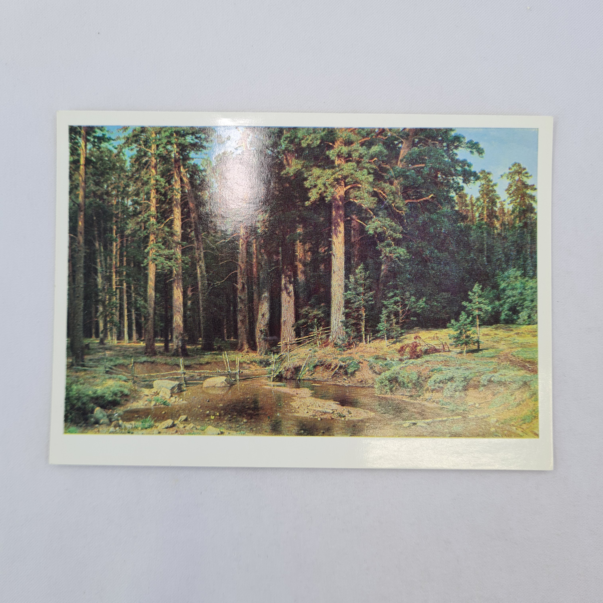 Картинка 1