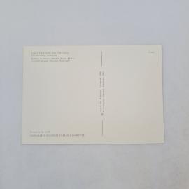 Картинка 2