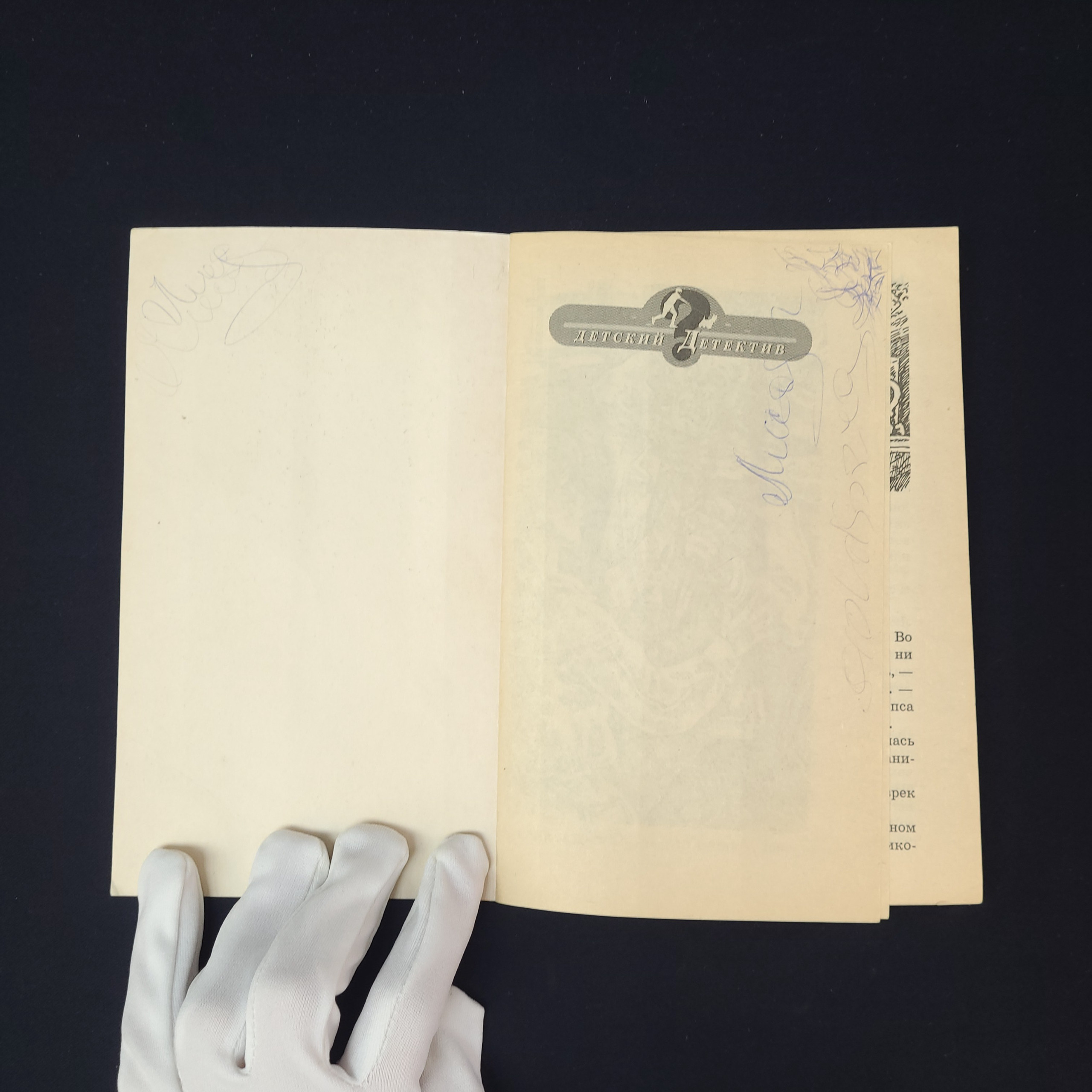 Картинка 2
