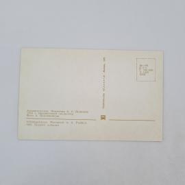 Картинка 2