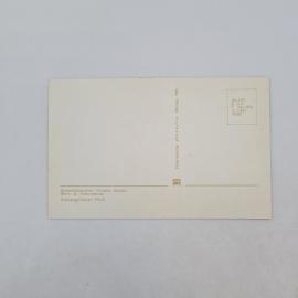 Картинка 2
