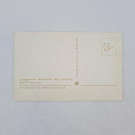 Картинка 2
