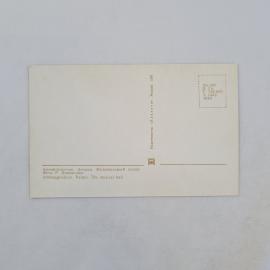 Картинка 2