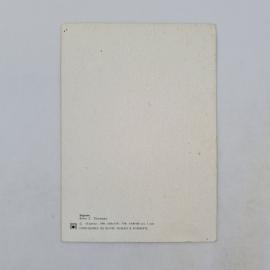 Картинка 2