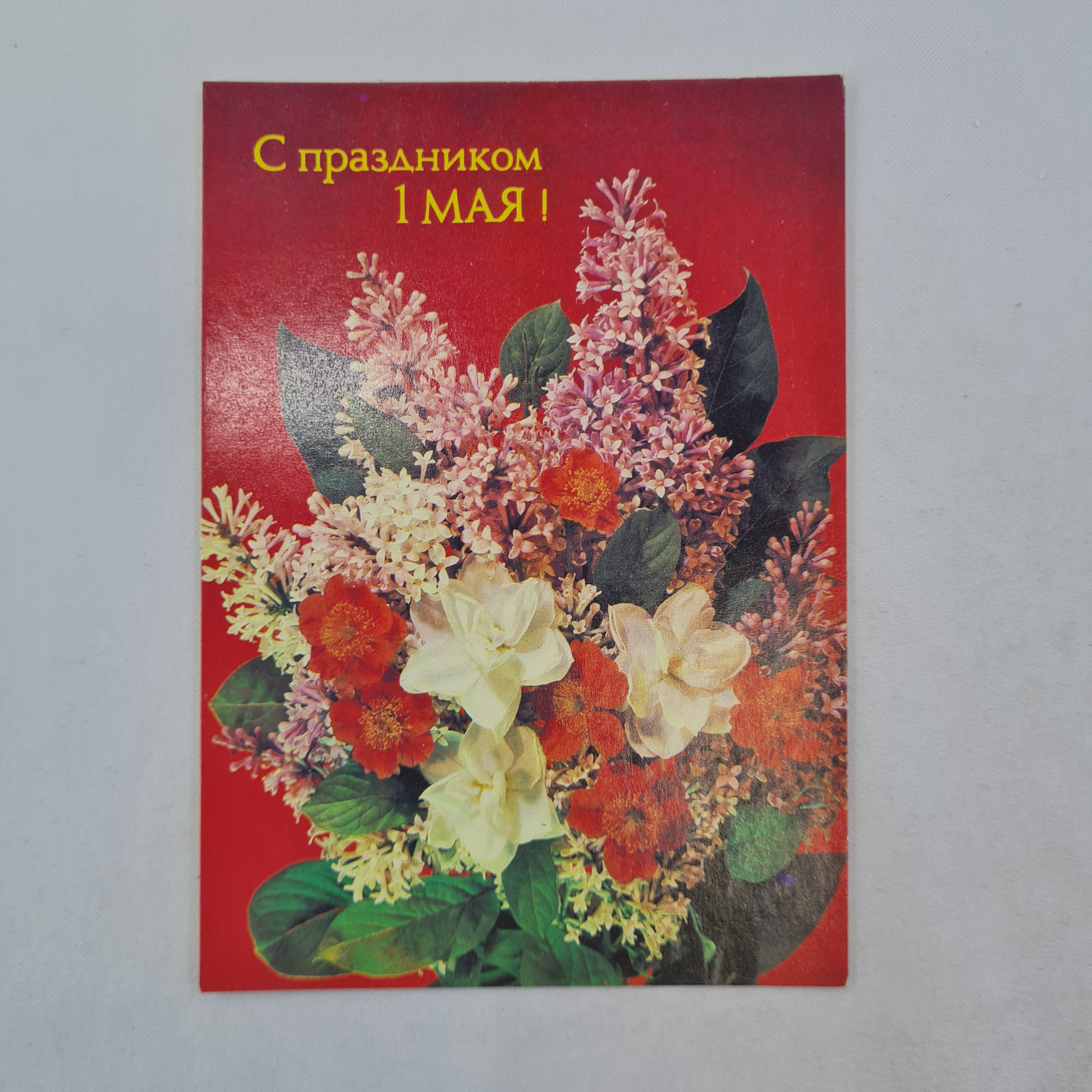 Картинка 1