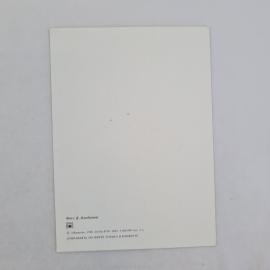Картинка 2