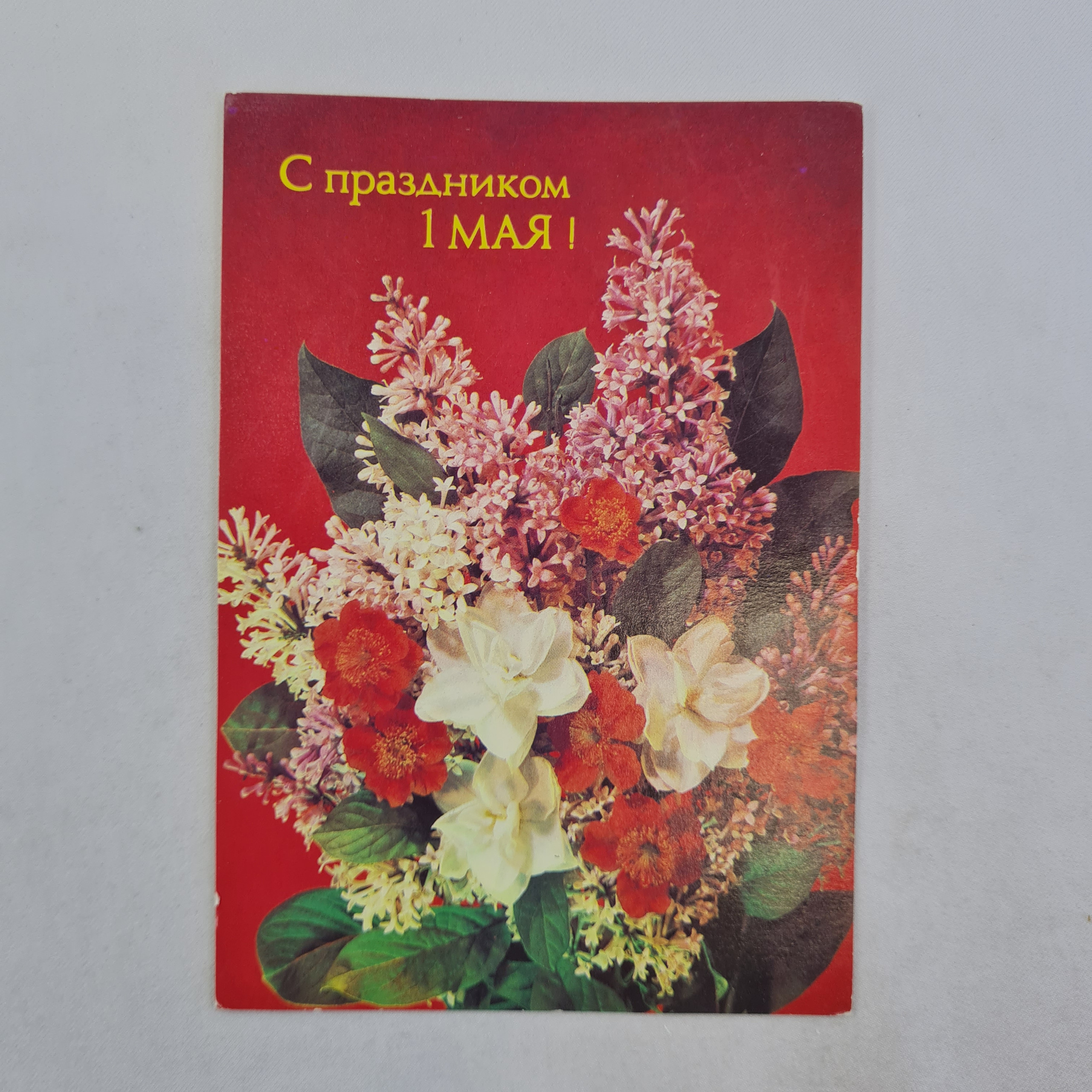 Картинка 1