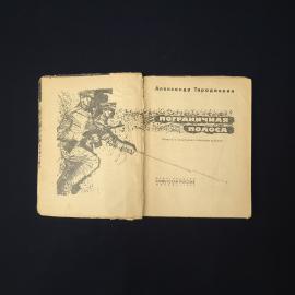 Картинка 2