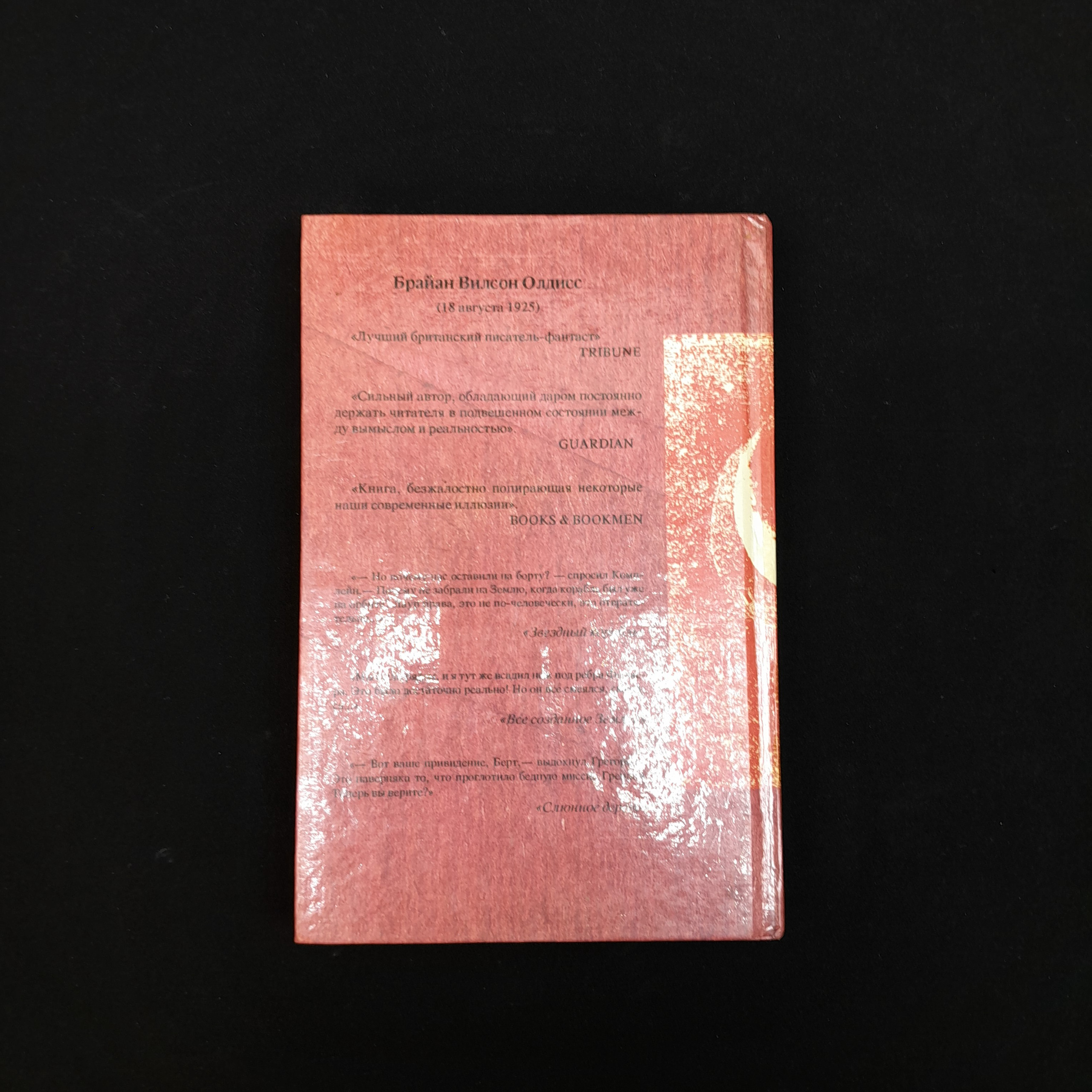 Картинка 5