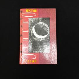 Звездный корабль. Книга. Фантастический роман