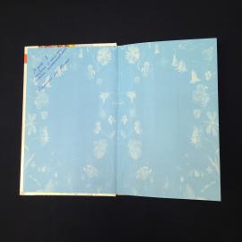 Картинка 2