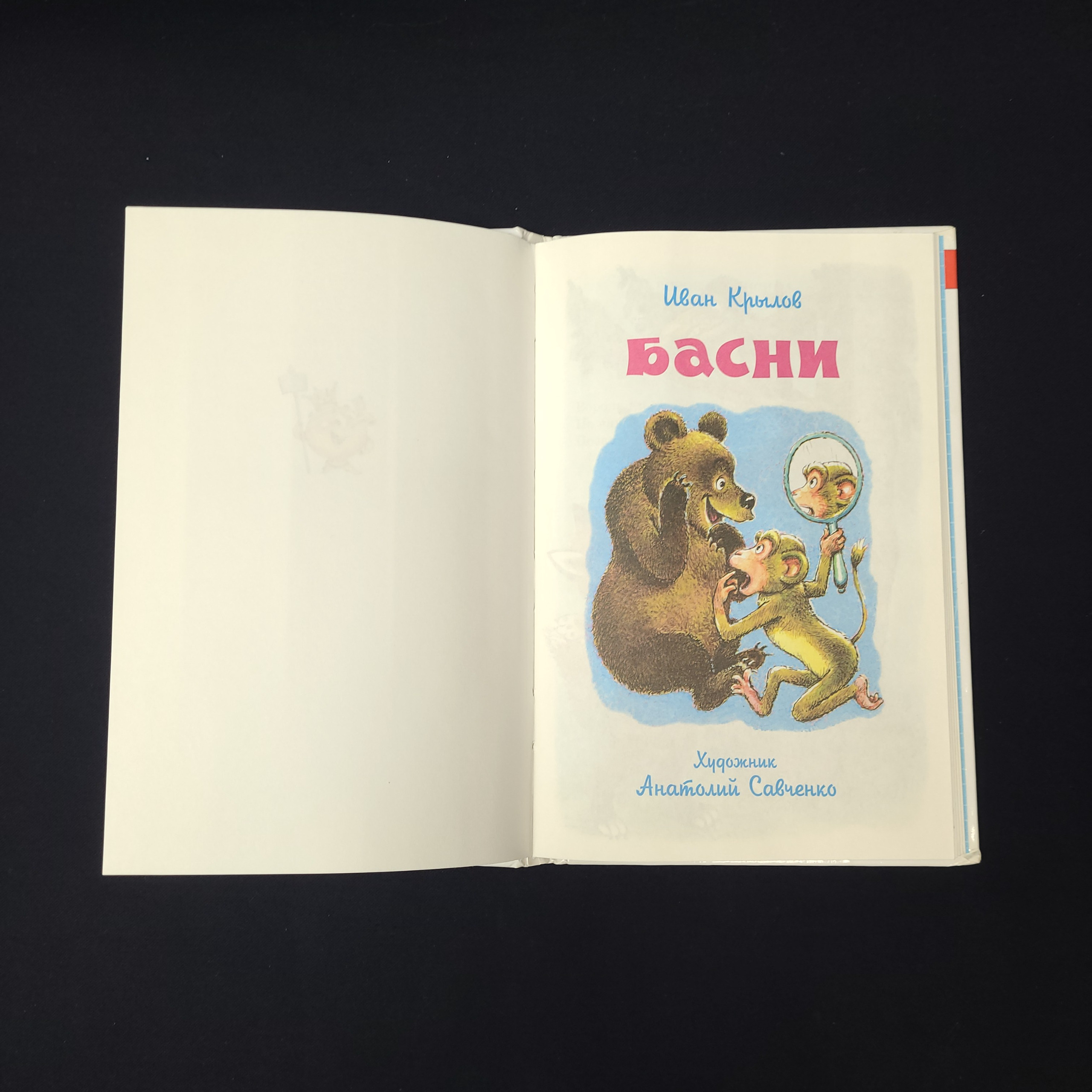 Картинка 2