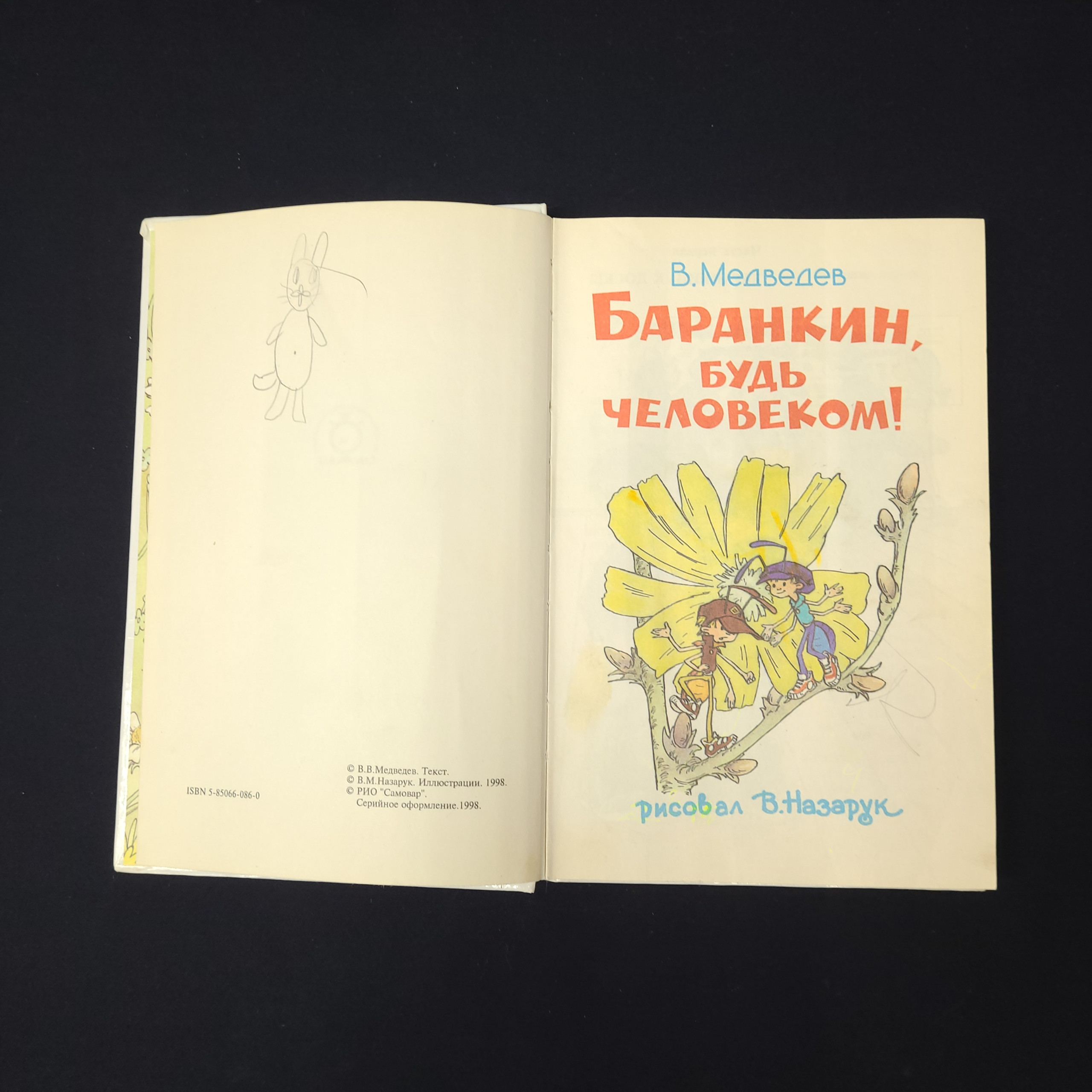 Картинка 2