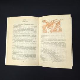 Картинка 3