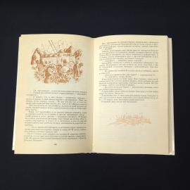 Картинка 3