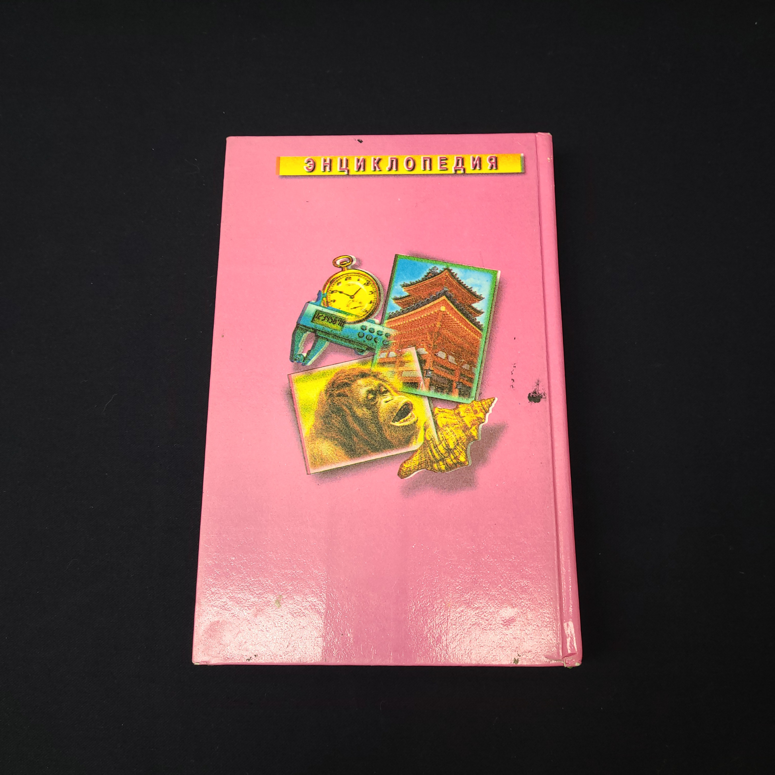 Картинка 5