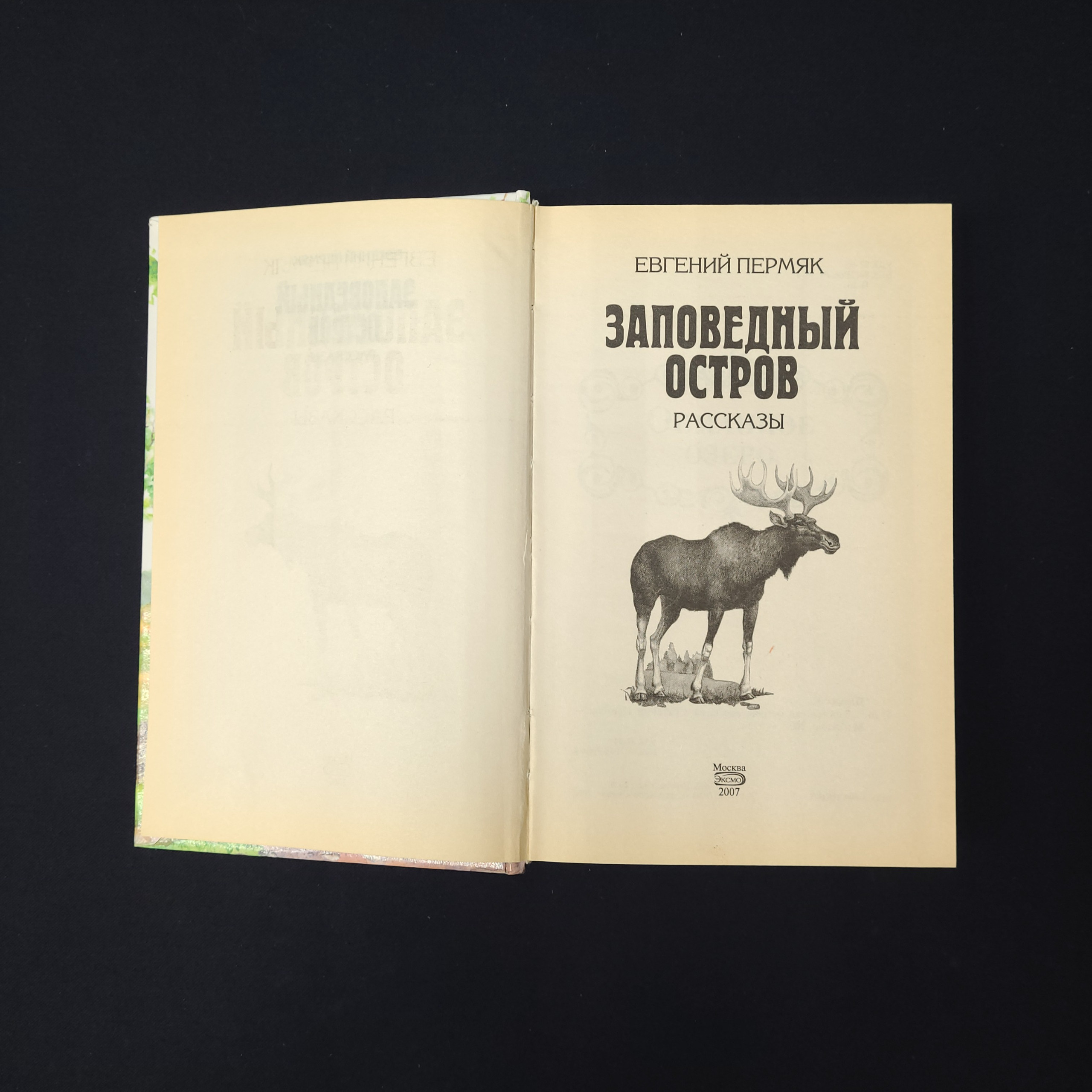 Картинка 2