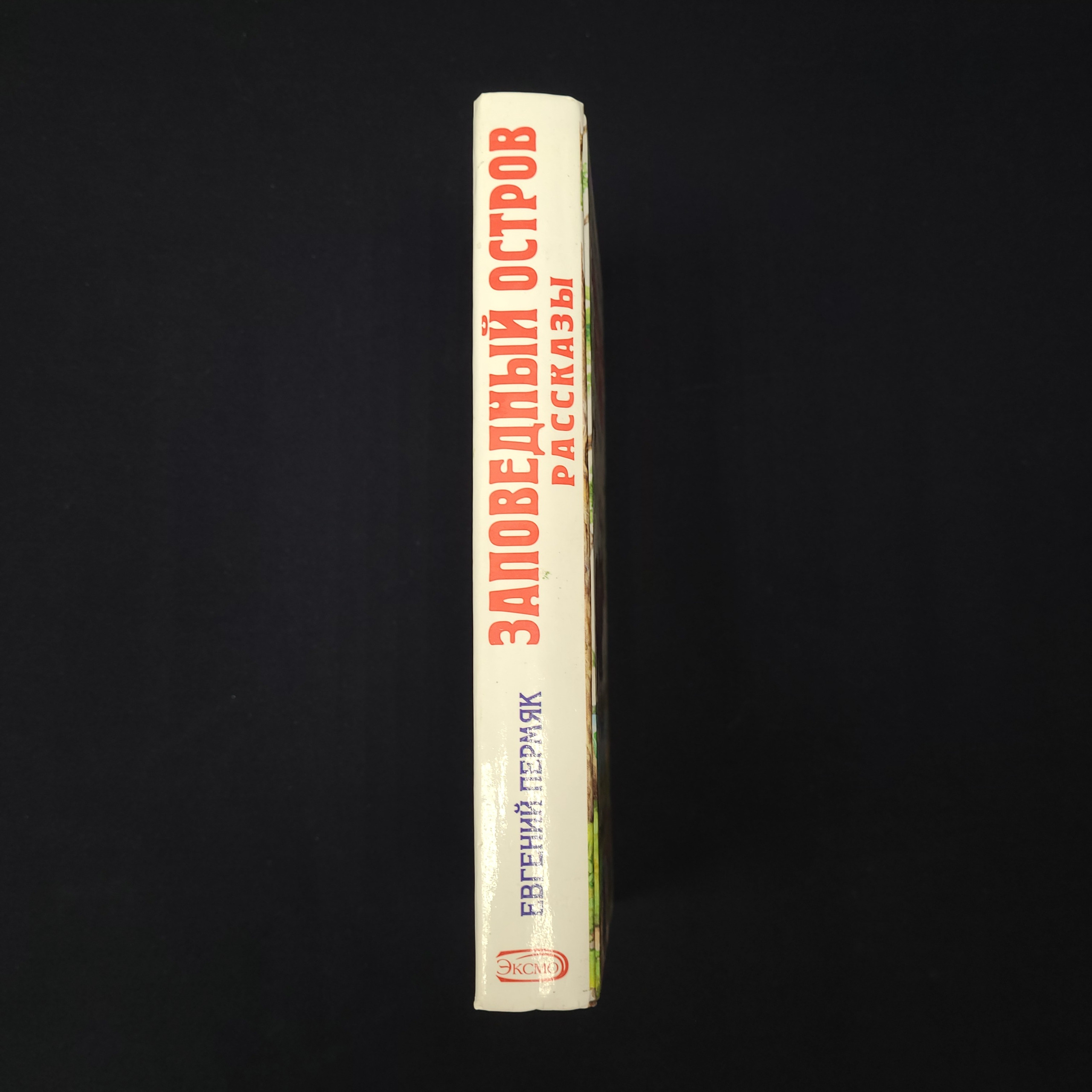 Картинка 6