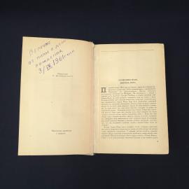 Картинка 3