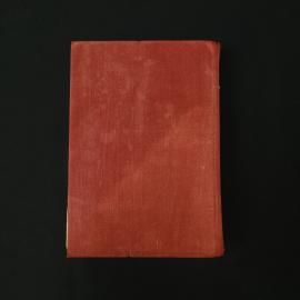 Картинка 6