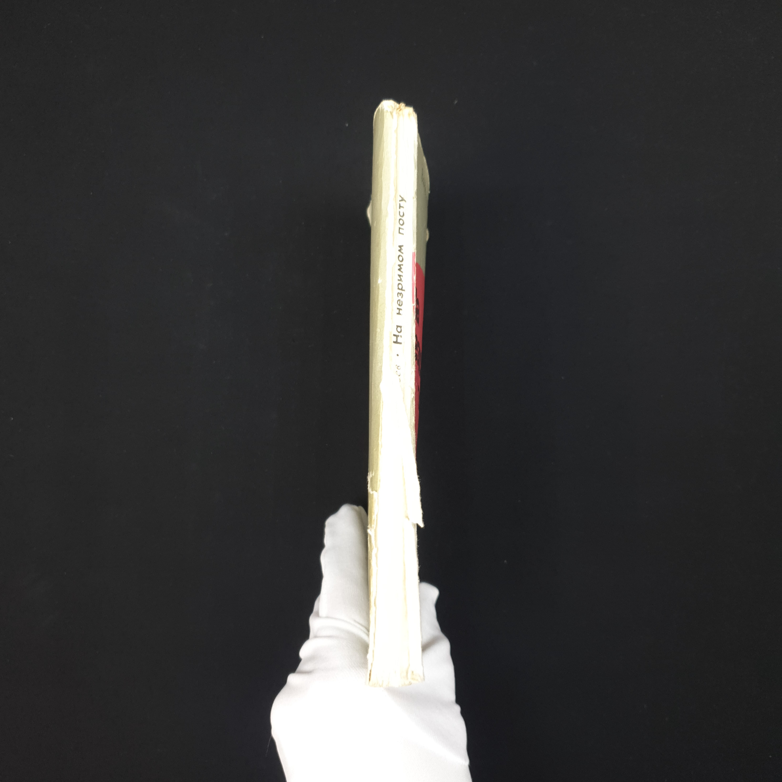 Картинка 6
