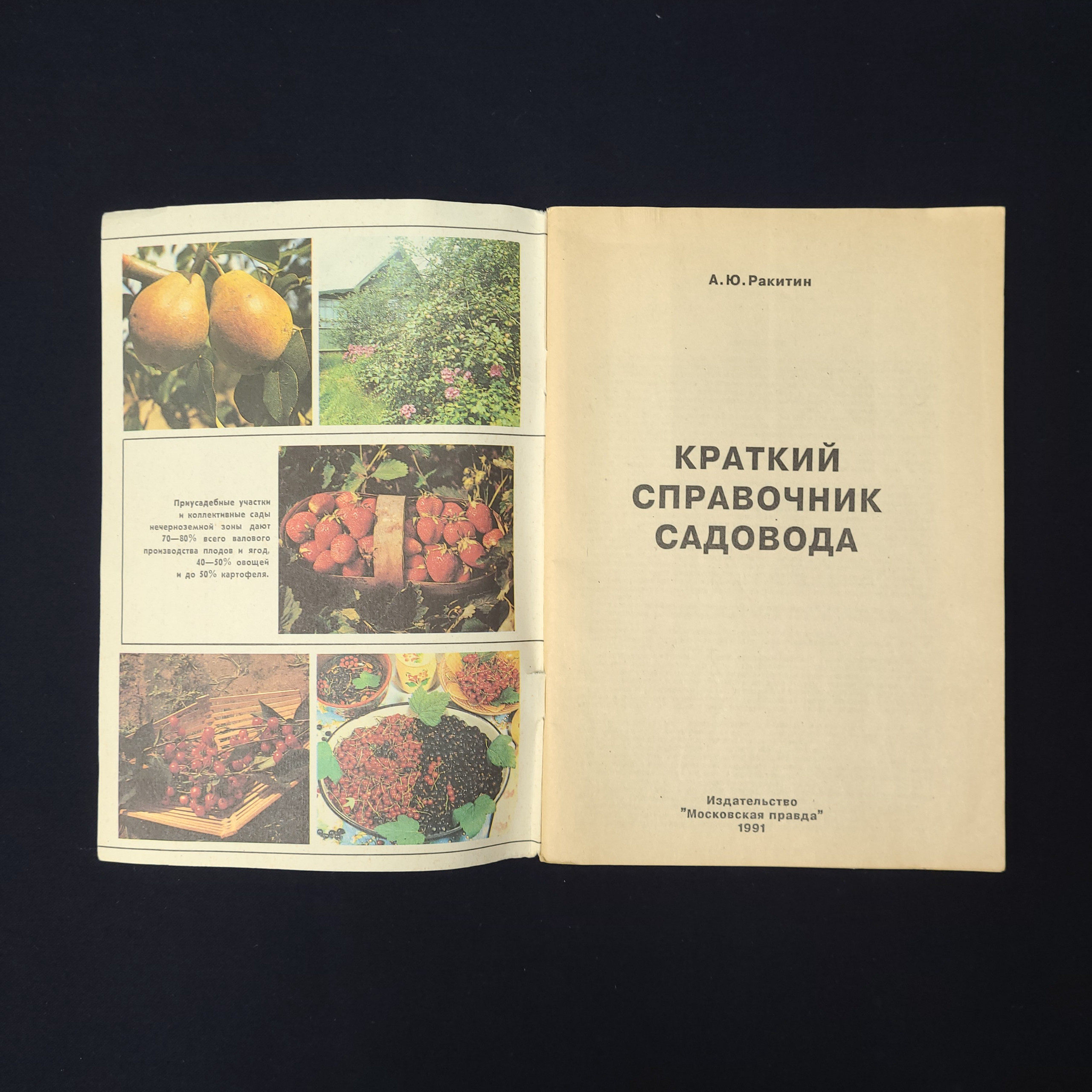 Картинка 2