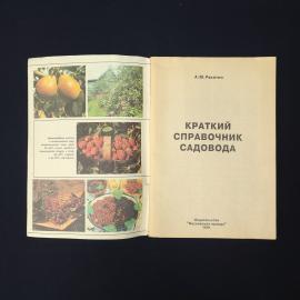 Картинка 2