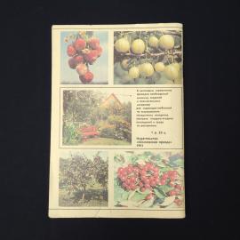 Картинка 5