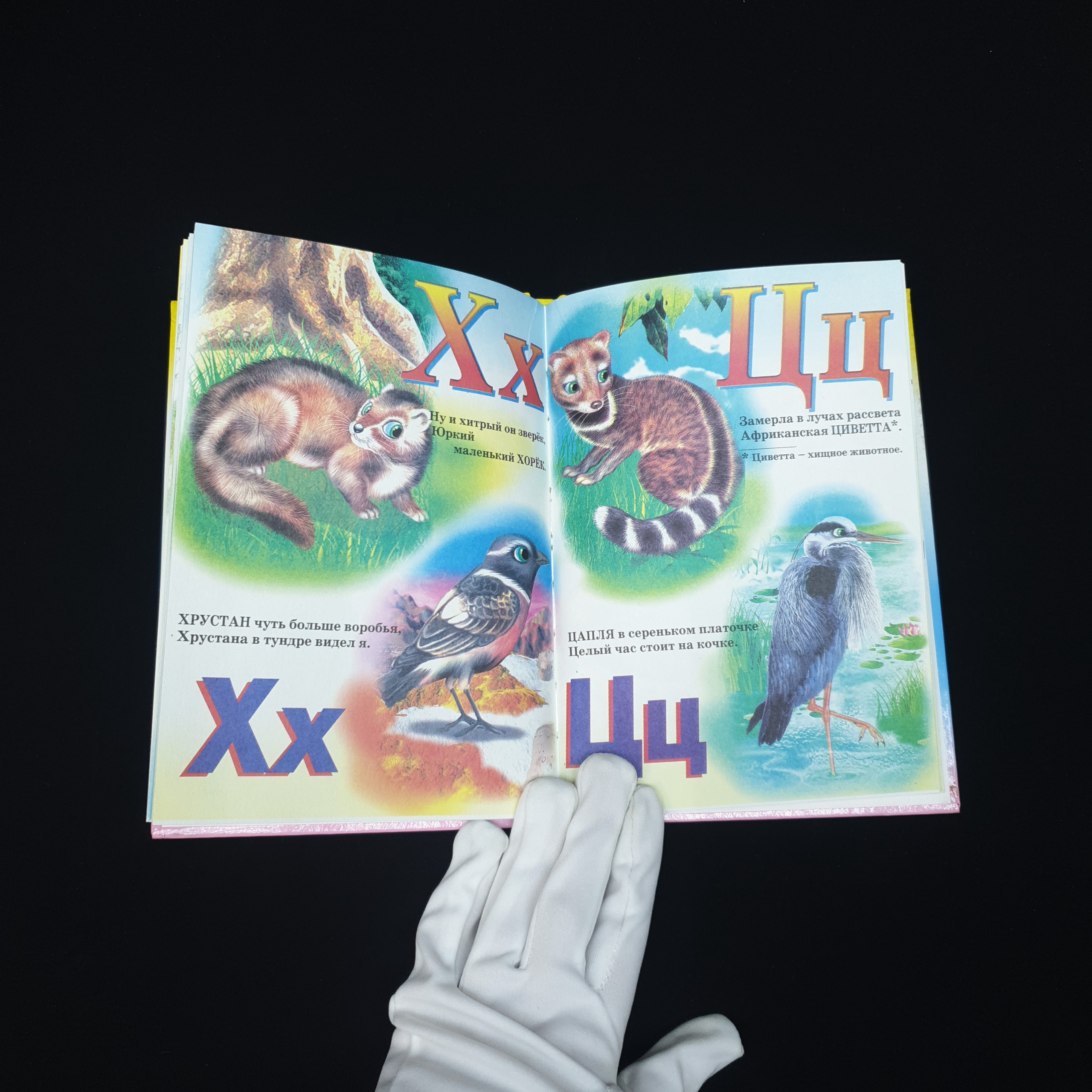 Картинка 3