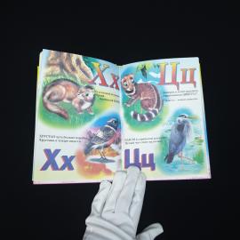 Картинка 3