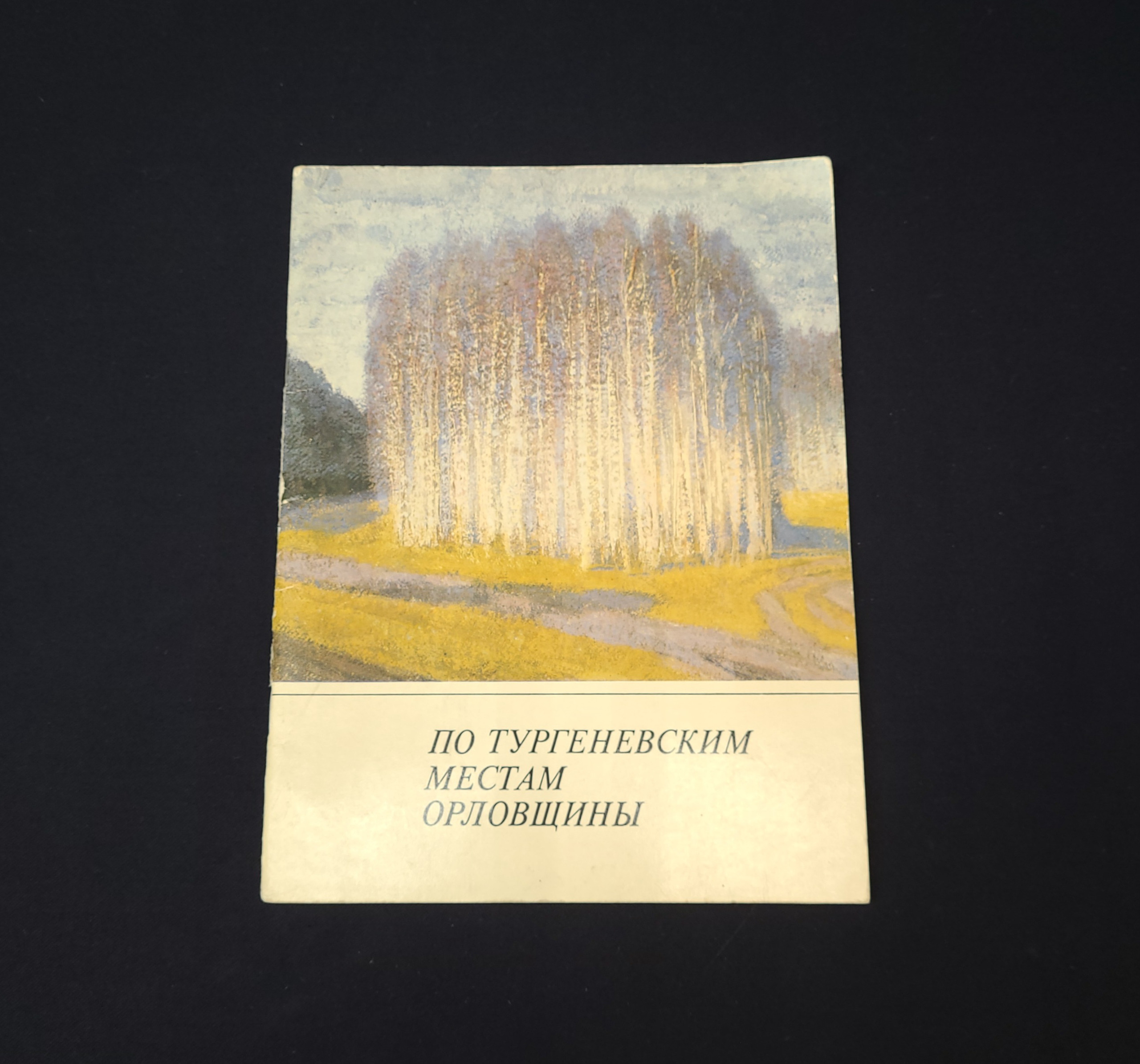 Картинка 1