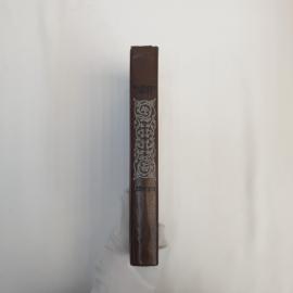 Картинка 6