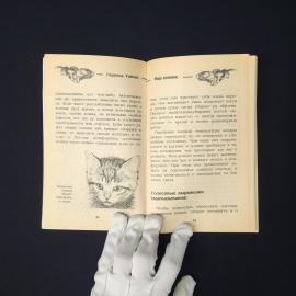 Картинка 3
