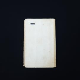 Картинка 5