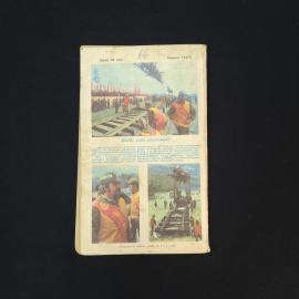 Картинка 6