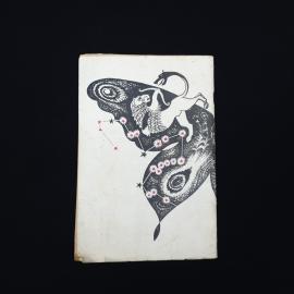 Картинка 5