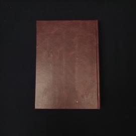 Картинка 5